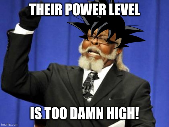 Over 9000 | THEIR POWER LEVEL; IS TOO DAMN HIGH! | image tagged in memes,too damn high | made w/ Imgflip meme maker