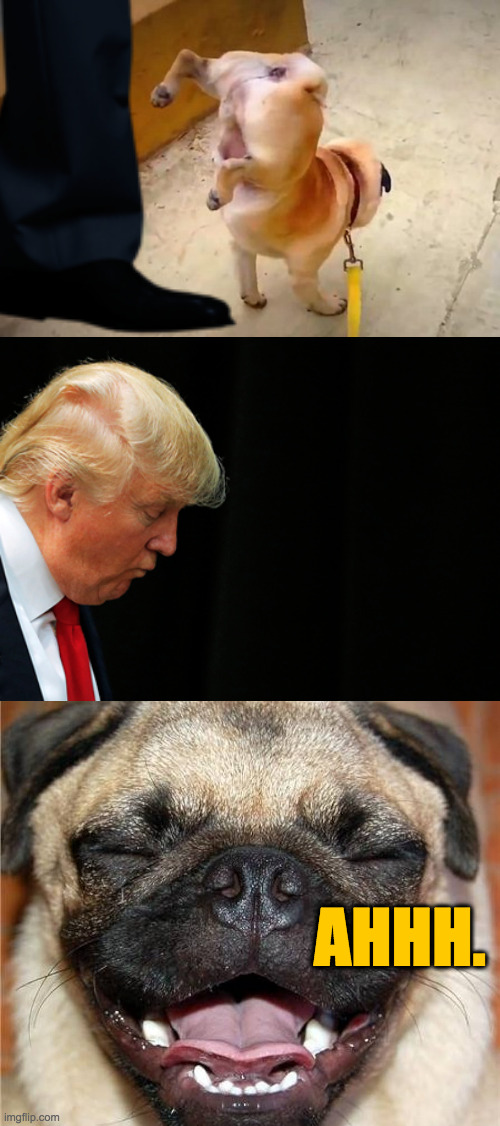 Trump involved in public urination. | AHHH. | image tagged in memes,public urination,trump | made w/ Imgflip meme maker