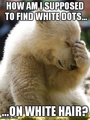 Facepalm Bear Meme | HOW AM I SUPPOSED TO FIND WHITE DOTS... ...ON WHITE HAIR? | image tagged in memes,facepalm bear | made w/ Imgflip meme maker