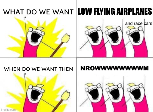 read it out :) | WHAT DO WE WANT; LOW FLYING AIRPLANES; and race cars; NROWWWWWWWWM; WHEN DO WE WANT THEM | image tagged in memes,what do we want,eyeroll | made w/ Imgflip meme maker