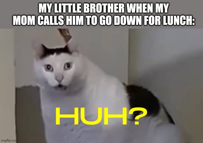 MY LITTLE BROTHER WHEN MY MOM CALLS HIM TO GO DOWN FOR LUNCH: | image tagged in memes,cat,lunch | made w/ Imgflip meme maker