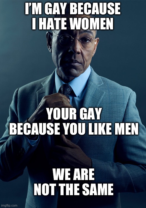 Gus Fring we are not the same | I’M GAY BECAUSE I HATE WOMEN; YOUR GAY BECAUSE YOU LIKE MEN; WE ARE NOT THE SAME | image tagged in gus fring we are not the same | made w/ Imgflip meme maker