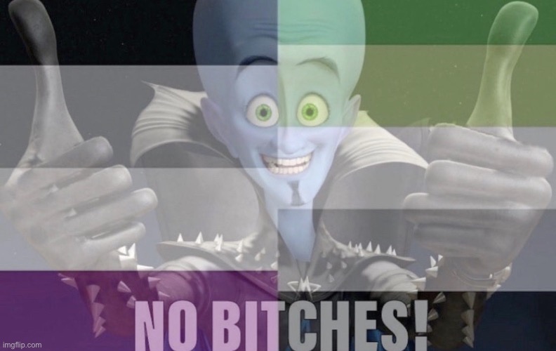 (@my aroace friend: just some meme I found sorry bro) | made w/ Imgflip meme maker