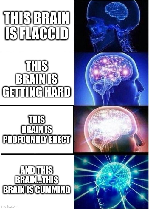 Expanding Brain | THIS BRAIN IS FLACCID; THIS BRAIN IS GETTING HARD; THIS BRAIN IS PROFOUNDLY ERECT; AND THIS BRAIN...THIS BRAIN IS CUMMING | image tagged in memes,expanding brain | made w/ Imgflip meme maker