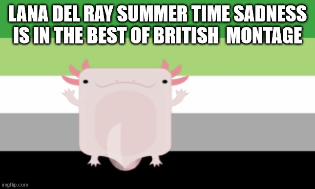 ace | LANA DEL RAY SUMMER TIME SADNESS IS IN THE BEST OF BRITISH  MONTAGE | image tagged in ace | made w/ Imgflip meme maker