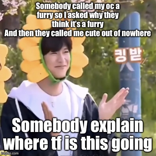 :) | Somebody called my oc a furry so I asked why they think it’s a furry
And then they called me cute out of nowhere; Somebody explain where tf is this going | made w/ Imgflip meme maker