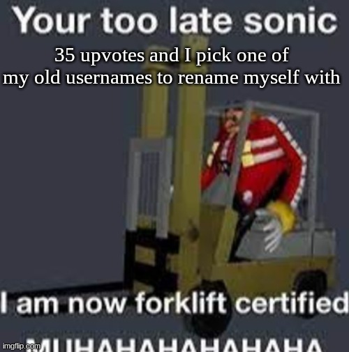 Your too late sonic | 35 upvotes and I pick one of my old usernames to rename myself with | image tagged in your too late sonic | made w/ Imgflip meme maker