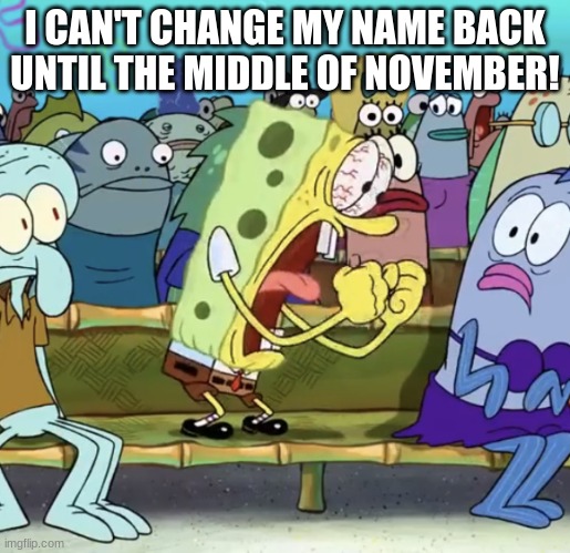 why imgflip | I CAN'T CHANGE MY NAME BACK UNTIL THE MIDDLE OF NOVEMBER! | image tagged in spongebob yelling | made w/ Imgflip meme maker