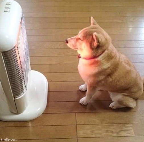 Dog enjoying the warm heater | image tagged in dog enjoying the warm heater | made w/ Imgflip meme maker