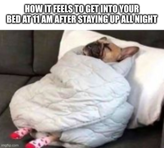 So cozy! | HOW IT FEELS TO GET INTO YOUR BED AT 11 AM AFTER STAYING UP ALL NIGHT | image tagged in memes,relatable memes,funny,dog | made w/ Imgflip meme maker