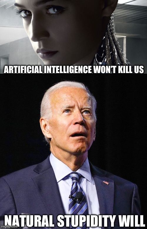 We’d be better off with the robot. | ARTIFICIAL INTELLIGENCE WON’T KILL US; NATURAL STUPIDITY WILL | image tagged in ex machina,joe biden,stupid liberals,dementia,artificial intelligence,election | made w/ Imgflip meme maker