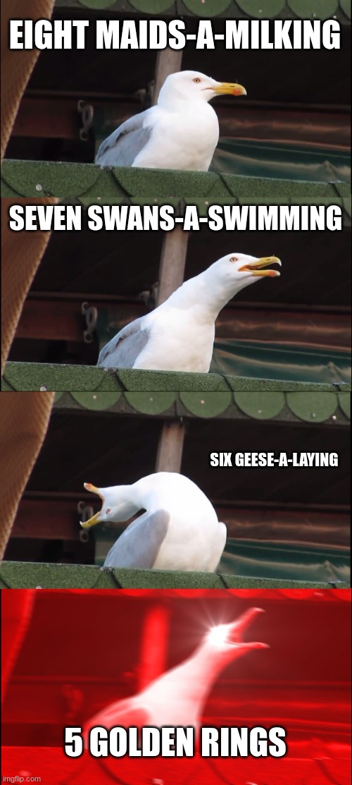 So many birds | EIGHT MAIDS-A-MILKING; SEVEN SWANS-A-SWIMMING; SIX GEESE-A-LAYING; 5 GOLDEN RINGS | image tagged in memes,inhaling seagull,birds,christmas | made w/ Imgflip meme maker