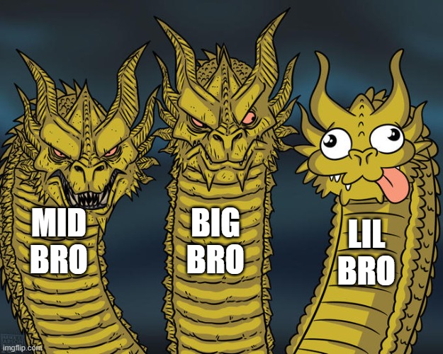 Three-headed Dragon | BIG BRO; MID BRO; LIL BRO | image tagged in three-headed dragon | made w/ Imgflip meme maker