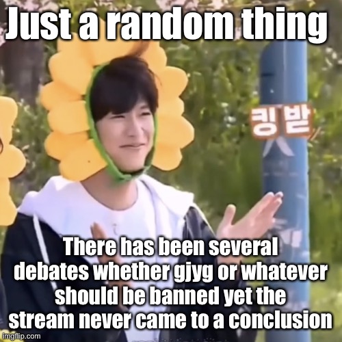 :) | Just a random thing; There has been several debates whether gjyg or whatever should be banned yet the stream never came to a conclusion | made w/ Imgflip meme maker