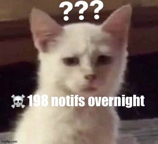 ? | ☠️ 198 notifs overnight | made w/ Imgflip meme maker