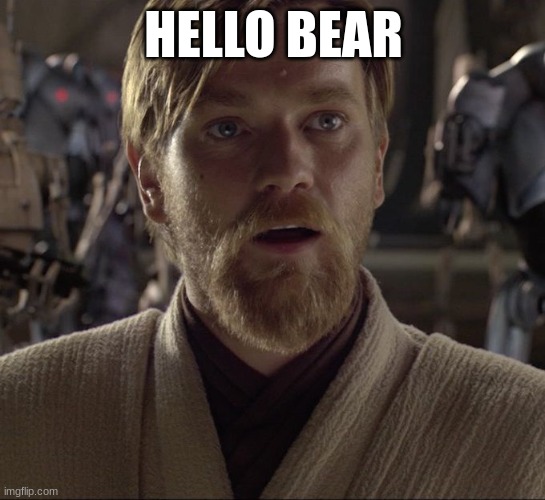 Obi Wan Hello There | HELLO BEAR | image tagged in obi wan hello there | made w/ Imgflip meme maker