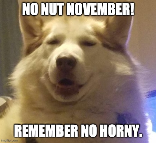 View the tags | NO NUT NOVEMBER! REMEMBER NO HORNY. | image tagged in man urinating,flag pole,meatmymeat,gaming water,jellied air | made w/ Imgflip meme maker