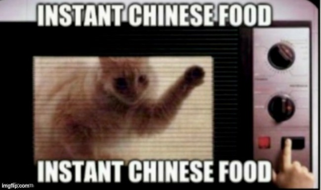 Chinese food in a nutshell. | image tagged in yummy,kittens,are,tasty,-_- | made w/ Imgflip meme maker