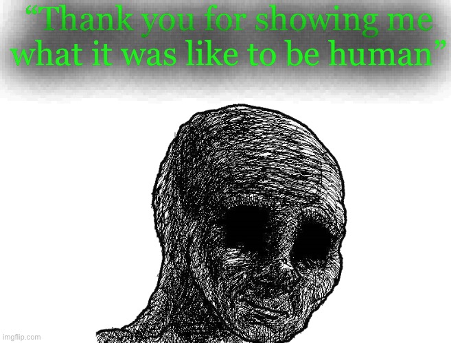 In my depression arc ig | “Thank you for showing me what it was like to be human” | image tagged in withered wojack,dsmp,quackity,slime | made w/ Imgflip meme maker