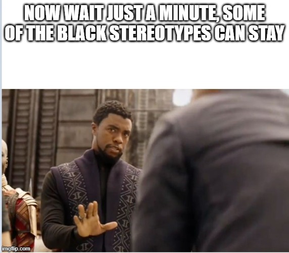 We don't do that here | NOW WAIT JUST A MINUTE, SOME OF THE BLACK STEREOTYPES CAN STAY | image tagged in we don't do that here | made w/ Imgflip meme maker