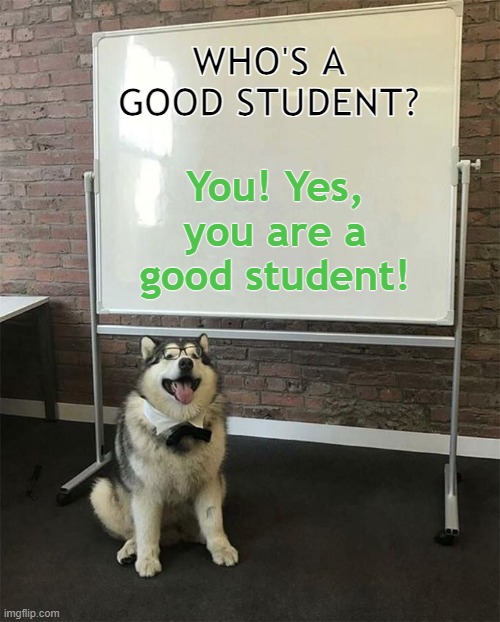 How to be a good boy | WHO'S A GOOD STUDENT? You! Yes, you are a good student! | image tagged in how to be a good boy | made w/ Imgflip meme maker