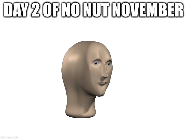 day 2 | DAY 2 OF NO NUT NOVEMBER | image tagged in no nut november,nnn,idk,oh wow are you actually reading these tags,stop reading the tags | made w/ Imgflip meme maker