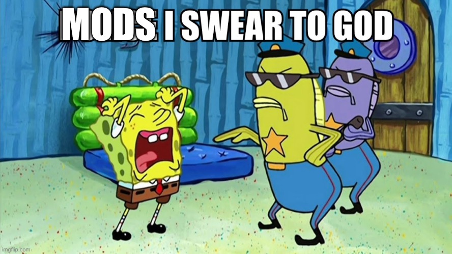 Why must they only get a 2 hour ban? | MODS | made w/ Imgflip meme maker