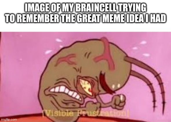 WHAT WAS IT??????? | IMAGE OF MY BRAINCELL TRYING TO REMEMBER THE GREAT MEME IDEA I HAD | image tagged in visible frustration | made w/ Imgflip meme maker