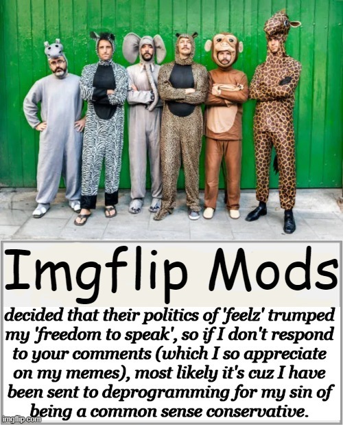 As a mother & grandmother, I receive harsher punishment on imgflip than the average looting liberal in our stores. | image tagged in imgflip mods,censorship,disinformation governance board,facts vs feelings,political humor,political correctness | made w/ Imgflip meme maker