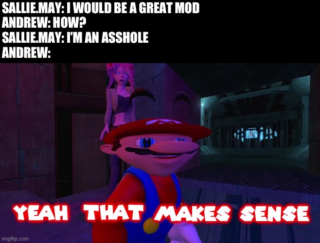 Yeah that makes sense | SALLIE.MAY: I WOULD BE A GREAT MOD
ANDREW: HOW?
SALLIE.MAY: I’M AN ASSHOLE
ANDREW: | made w/ Imgflip meme maker