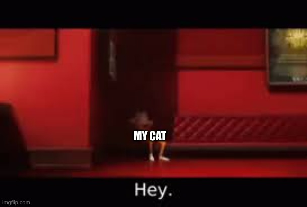 victor hey | MY CAT | image tagged in victor hey | made w/ Imgflip meme maker