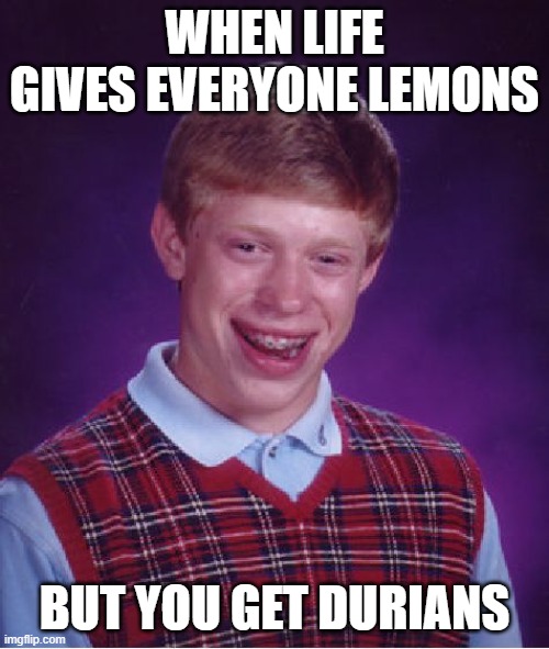 Lemons aren't so bad after all. | WHEN LIFE GIVES EVERYONE LEMONS; BUT YOU GET DURIANS | image tagged in memes,bad luck brian | made w/ Imgflip meme maker