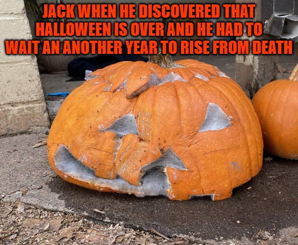 rotten jack o lantern | JACK WHEN HE DISCOVERED THAT HALLOWEEN IS OVER AND HE HAD TO WAIT AN ANOTHER YEAR TO RISE FROM DEATH | image tagged in rotten jack o lantern | made w/ Imgflip meme maker