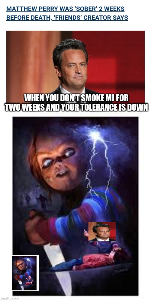 Friends | WHEN YOU DON'T SMOKE MJ FOR TWO WEEKS AND YOUR TOLERANCE IS DOWN | image tagged in friends,funny memes,scary | made w/ Imgflip meme maker