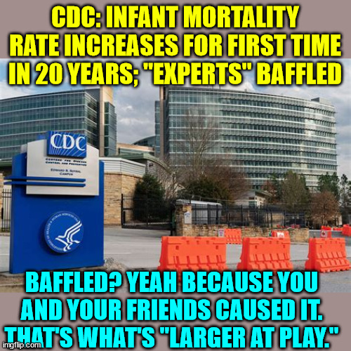 CDC: Infant Mortality Rate Increases for First Time in 20 Years; "Experts" Baffled | CDC: INFANT MORTALITY RATE INCREASES FOR FIRST TIME IN 20 YEARS; "EXPERTS" BAFFLED; BAFFLED? YEAH BECAUSE YOU AND YOUR FRIENDS CAUSED IT. THAT'S WHAT'S "LARGER AT PLAY." | image tagged in covid,truth,cdc | made w/ Imgflip meme maker