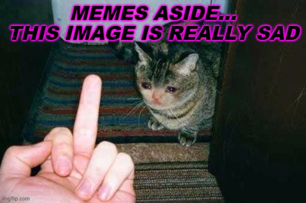 ...it's sad | MEMES ASIDE... THIS IMAGE IS REALLY SAD | image tagged in middle finger sad cat | made w/ Imgflip meme maker