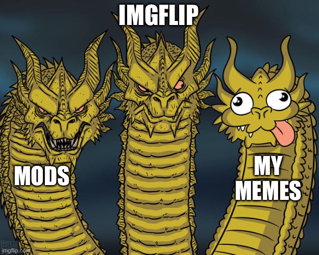 Meme | IMGFLIP; MY MEMES; MODS | image tagged in three-headed dragon | made w/ Imgflip meme maker