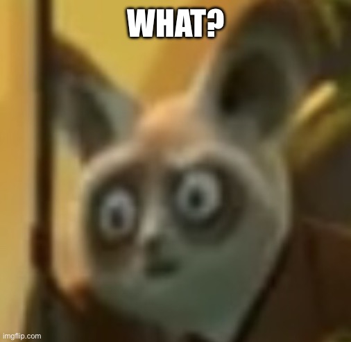 Master Shifu Stares | WHAT? | image tagged in master shifu stares | made w/ Imgflip meme maker