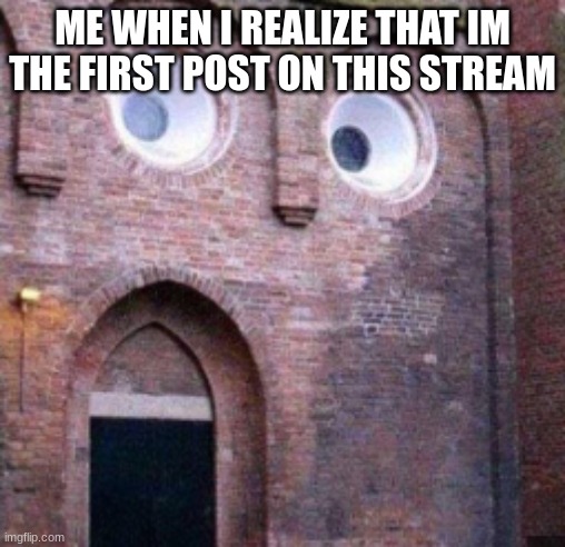Surprised House | ME WHEN I REALIZE THAT IM THE FIRST POST ON THIS STREAM | image tagged in surprised house | made w/ Imgflip meme maker