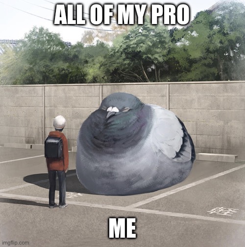 Me and all of my problems | ALL OF MY PROBLEMS; ME | image tagged in beeg birb | made w/ Imgflip meme maker