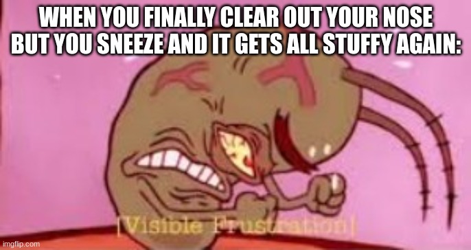 I just wasted my time for this?! Outrages! | WHEN YOU FINALLY CLEAR OUT YOUR NOSE BUT YOU SNEEZE AND IT GETS ALL STUFFY AGAIN: | image tagged in visible frustration | made w/ Imgflip meme maker