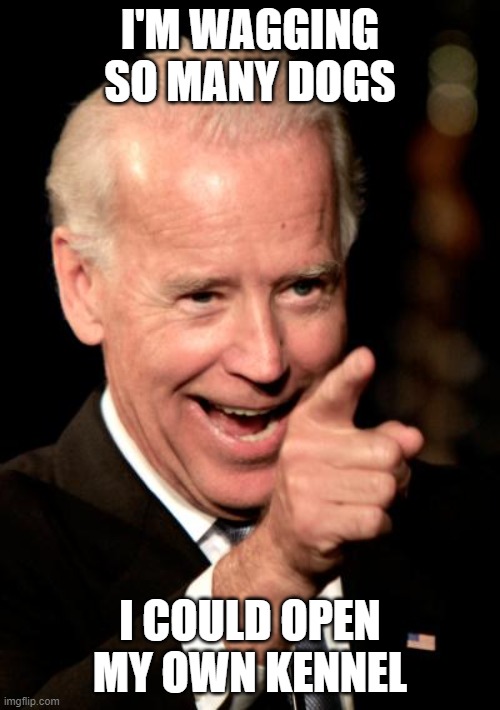Smilin Biden | I'M WAGGING SO MANY DOGS; I COULD OPEN MY OWN KENNEL | image tagged in memes,smilin biden | made w/ Imgflip meme maker
