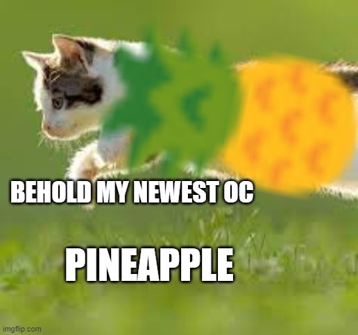 Its possible | BEHOLD MY NEWEST OC; PINEAPPLE | image tagged in pineapple | made w/ Imgflip meme maker