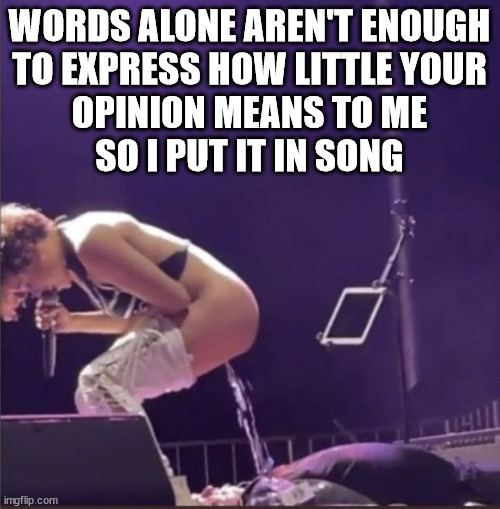 Concert Pee | WORDS ALONE AREN'T ENOUGH
TO EXPRESS HOW LITTLE YOUR
OPINION MEANS TO ME
SO I PUT IT IN SONG | image tagged in concert pee | made w/ Imgflip meme maker