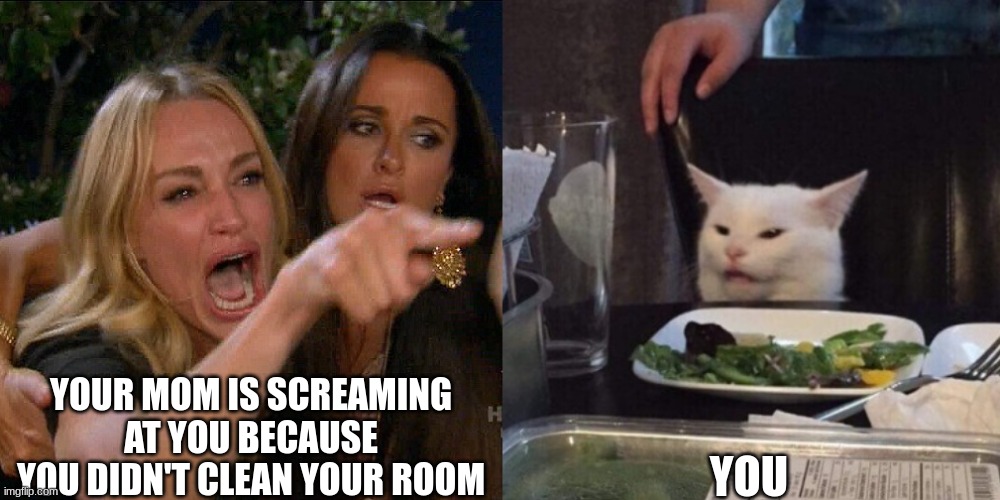 Woman yelling at cat | YOUR MOM IS SCREAMING AT YOU BECAUSE YOU DIDN'T CLEAN YOUR ROOM; YOU | image tagged in woman yelling at cat | made w/ Imgflip meme maker