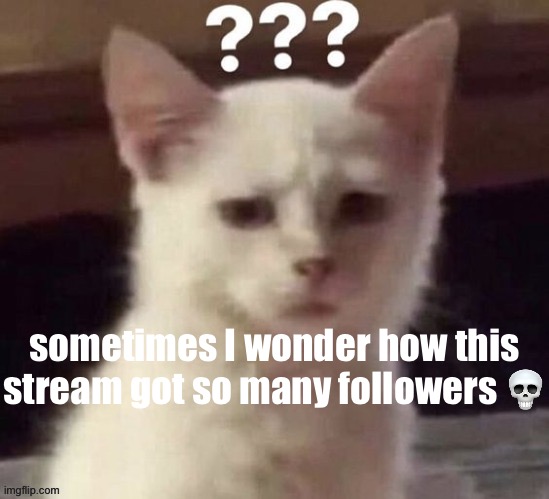 ? | sometimes I wonder how this stream got so many followers 💀 | made w/ Imgflip meme maker
