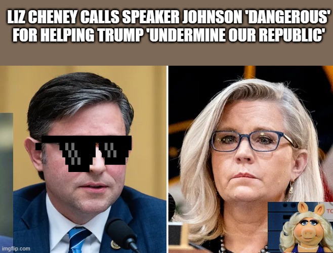 Miss Chinny chin chin says mikes MAGAgansta.. Oh lizzy go start another war make daddy proud | LIZ CHENEY CALLS SPEAKER JOHNSON 'DANGEROUS' FOR HELPING TRUMP 'UNDERMINE OUR REPUBLIC' | image tagged in democrats | made w/ Imgflip meme maker