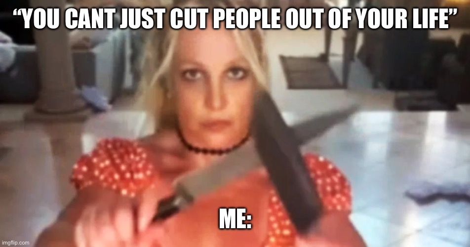 Shiis | “YOU CANT JUST CUT PEOPLE OUT OF YOUR LIFE”; ME: | image tagged in memes | made w/ Imgflip meme maker