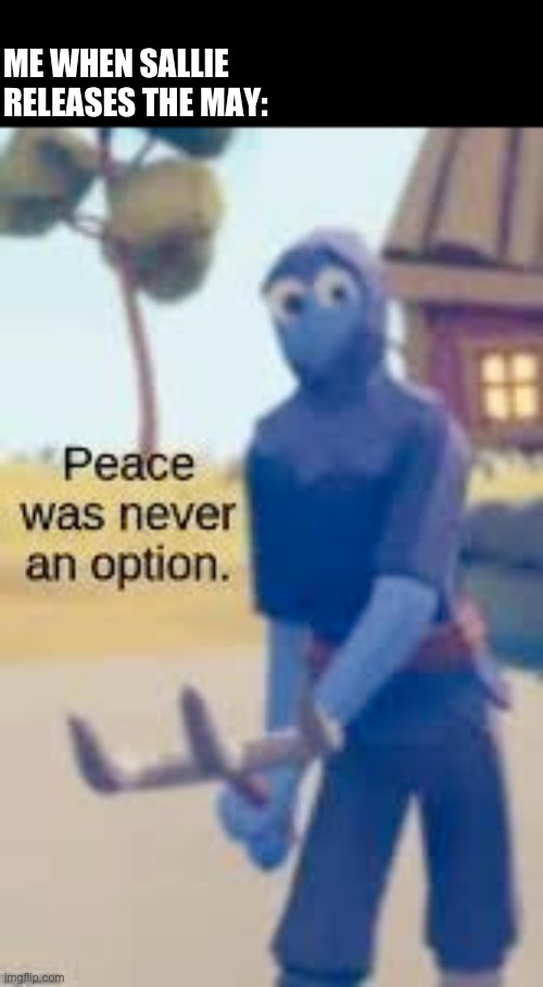 Please don’t release the may | ME WHEN SALLIE RELEASES THE MAY: | image tagged in peace was never an option tabs | made w/ Imgflip meme maker