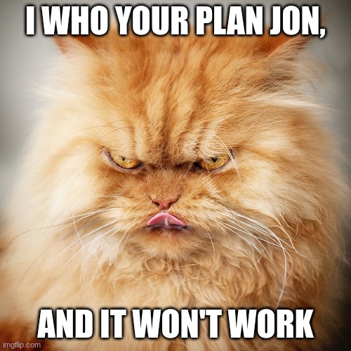orange cat | I WHO YOUR PLAN JON, AND IT WON'T WORK | image tagged in orange cat | made w/ Imgflip meme maker